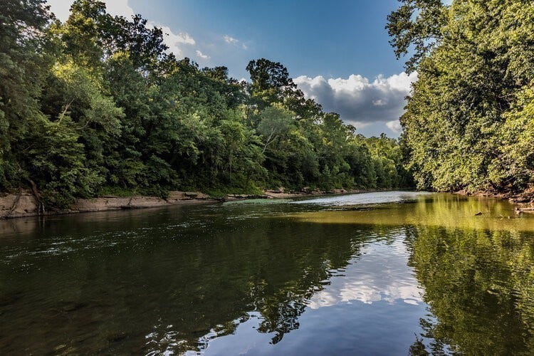 Chickasaw Trace Park is located 15 minutes from the community and offers miles of hiking and biking trails for you to enjoy.