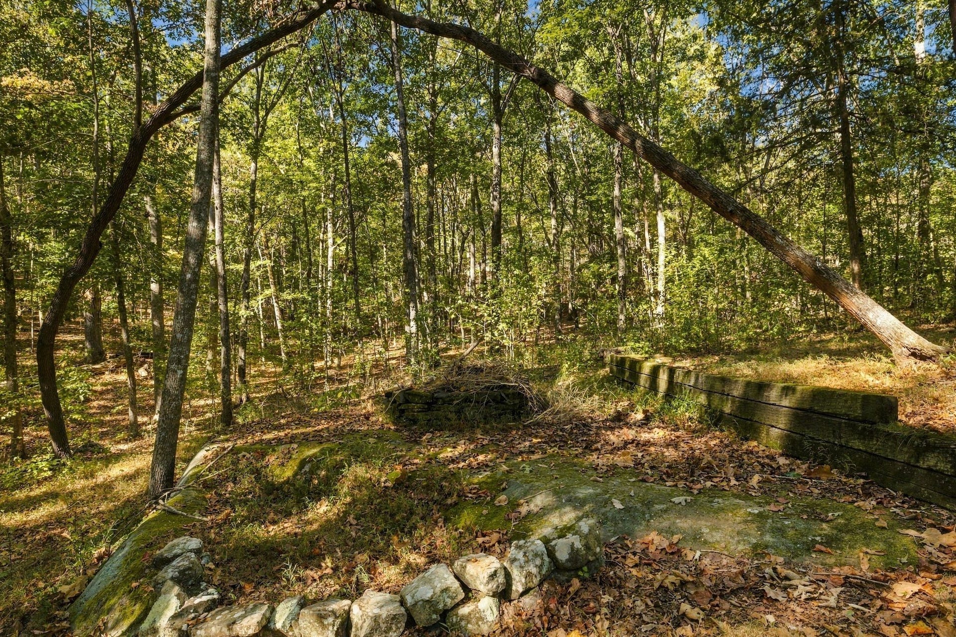 2241 Sarvisberry Pl, Monteagle, TN 37356 2241 Sarvisberry Pl, Monteagle, TN 37356
