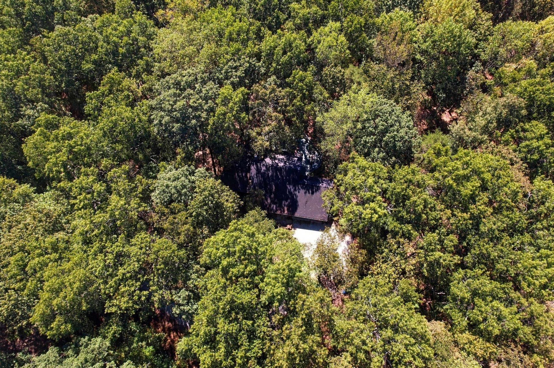 2241 Sarvisberry Pl, Monteagle, TN 37356 2241 Sarvisberry Pl, Monteagle, TN 37356