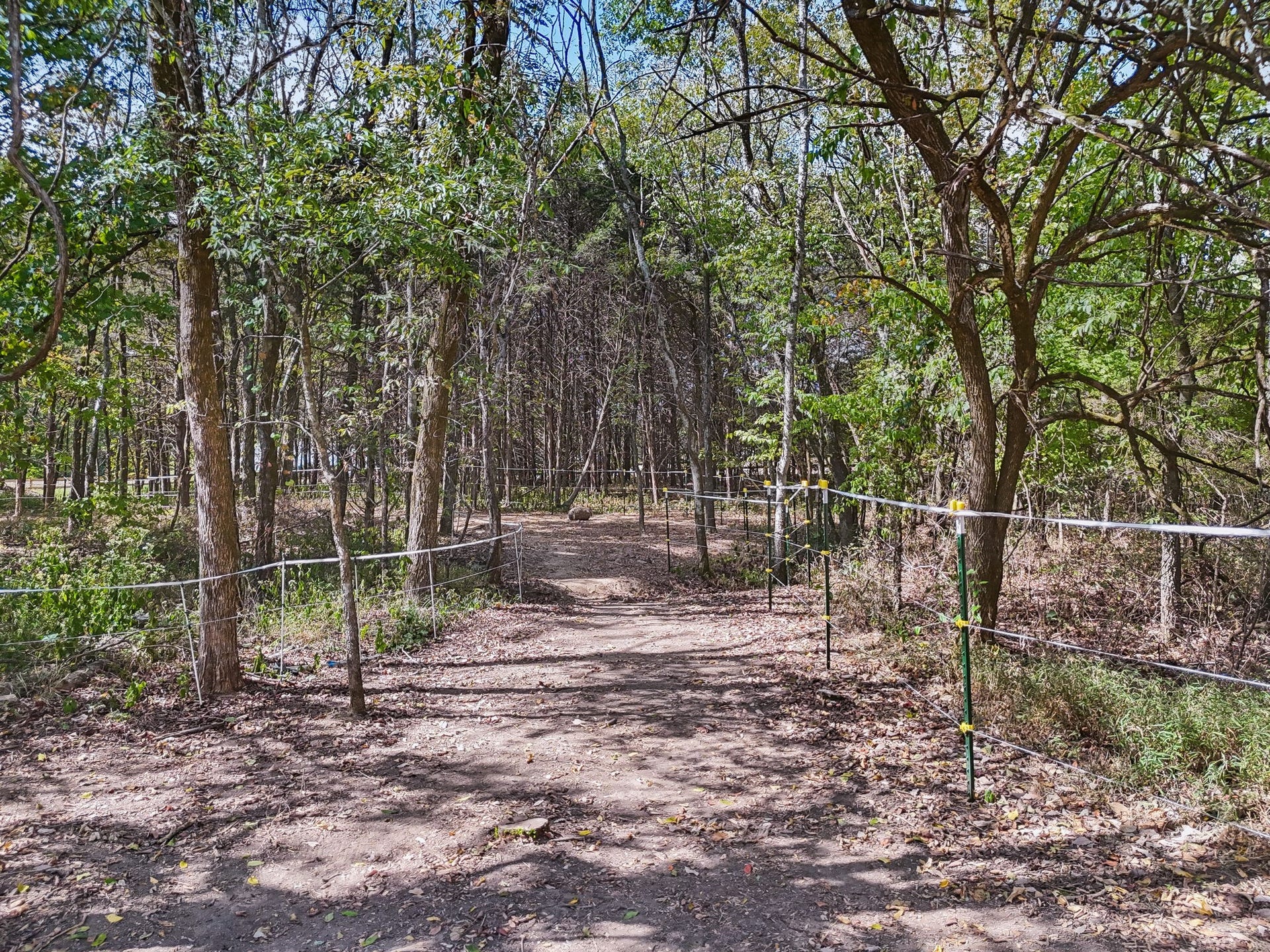 3890 Poplar Hill Rd, Watertown, TN 37184