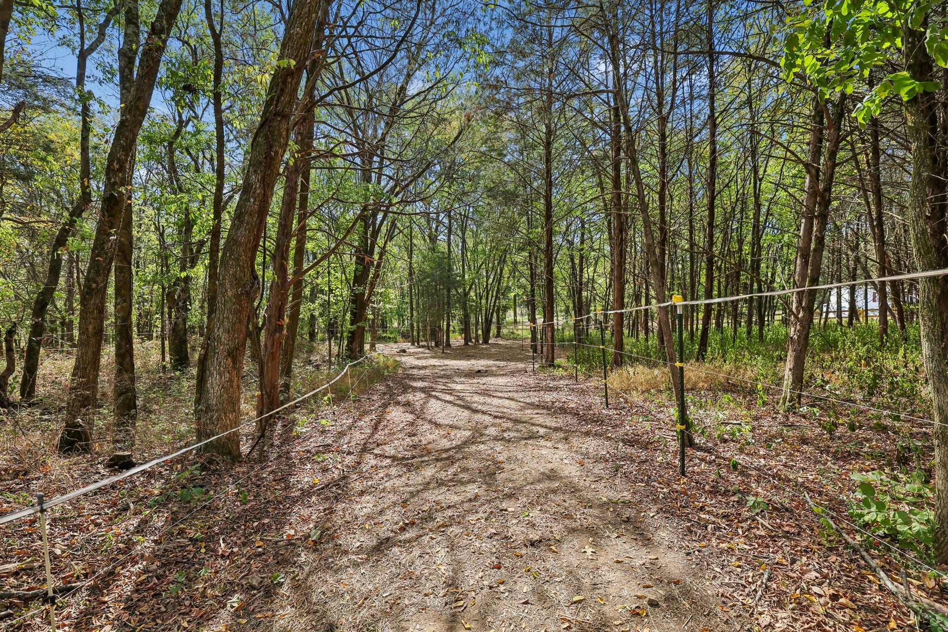 3890 Poplar Hill Rd, Watertown, TN 37184