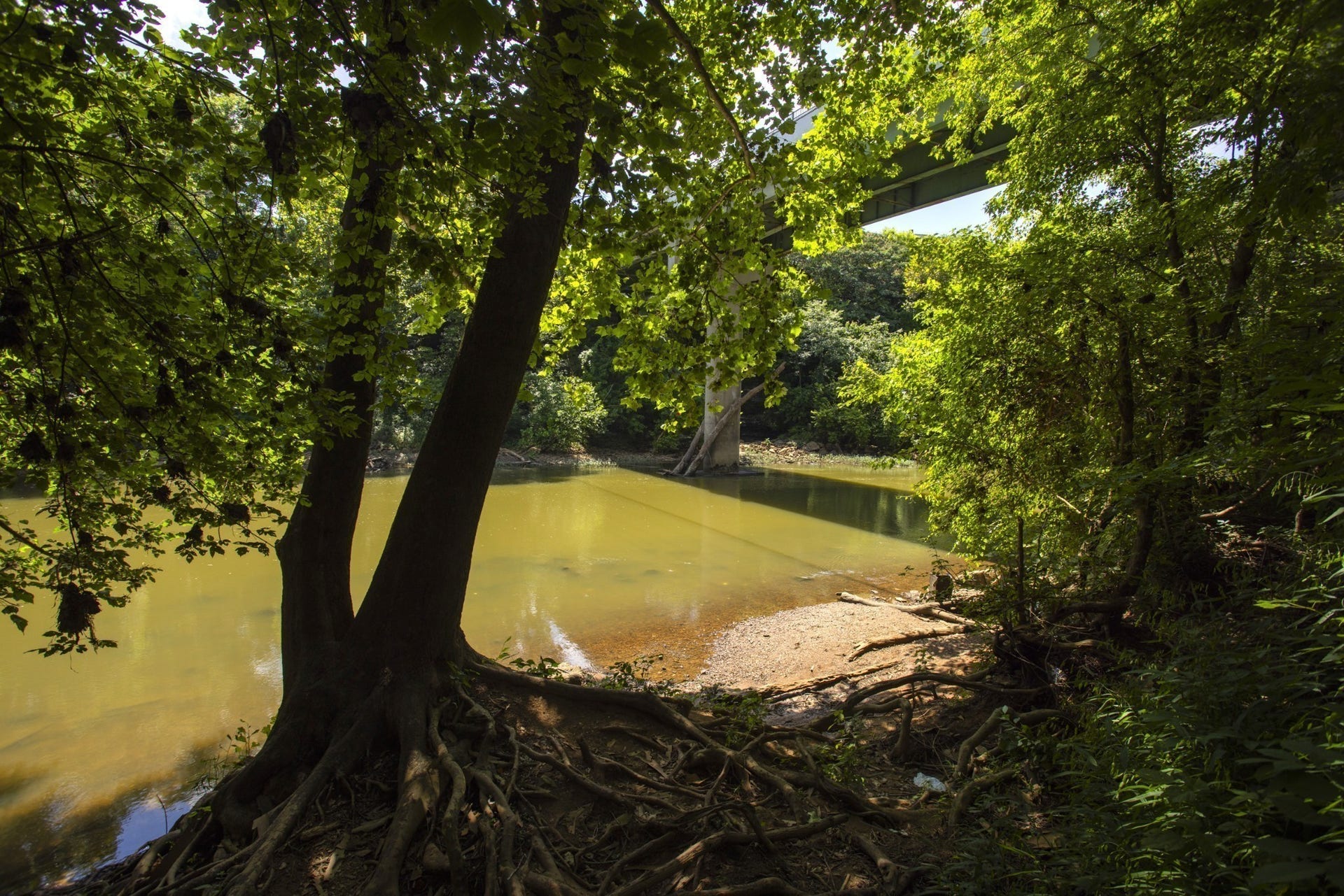 2372 Williamsport Landing, Columbia, TN 38401 2372 Williamsport Landing, Columbia, TN 38401