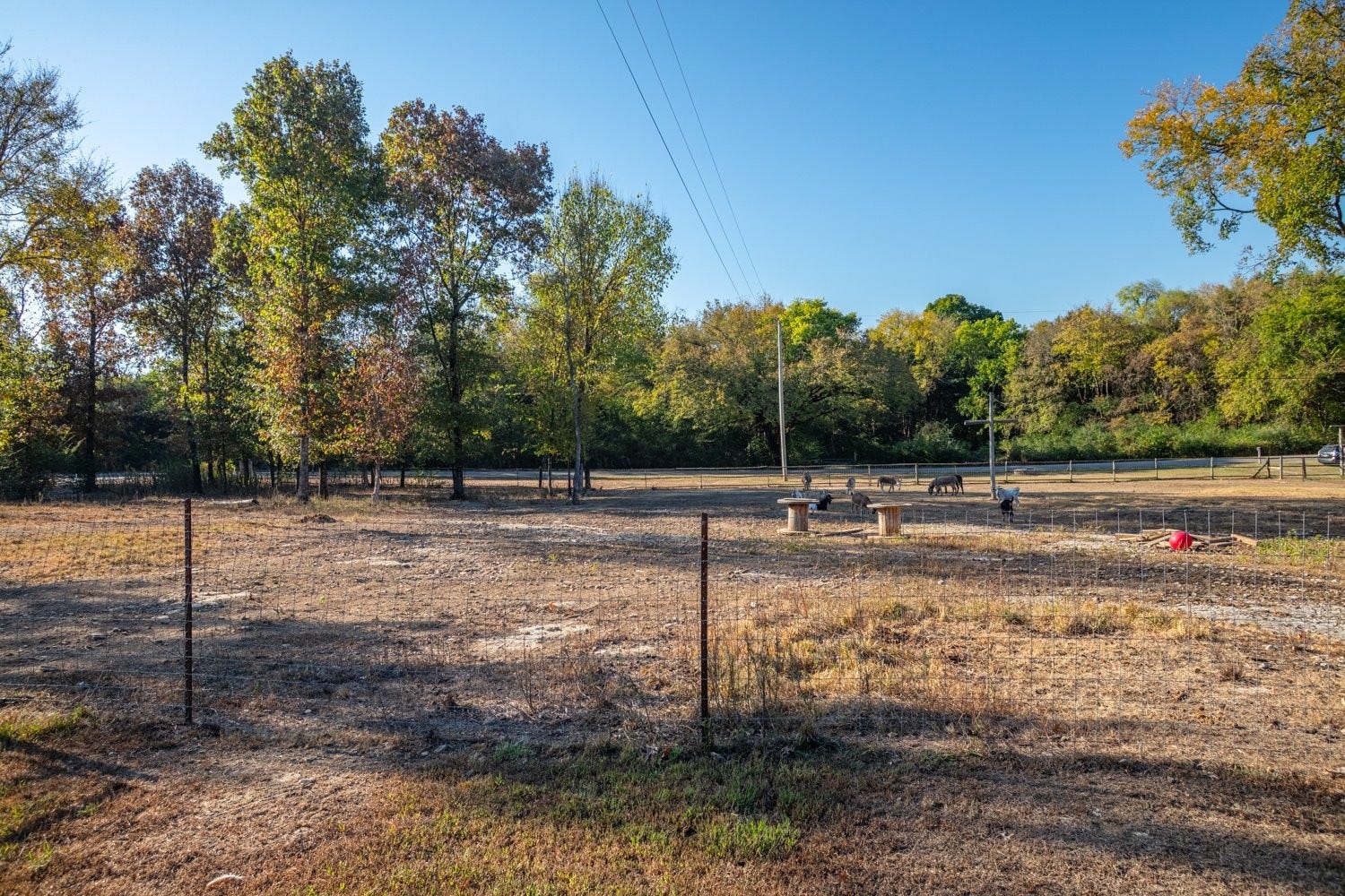 Numerous fenced pastures