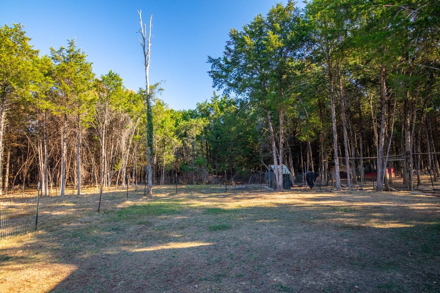 Woods for privacy and shade