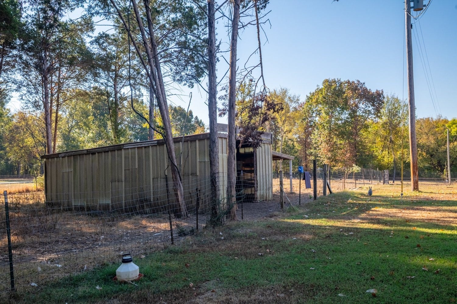 Barns and chicken coop on site