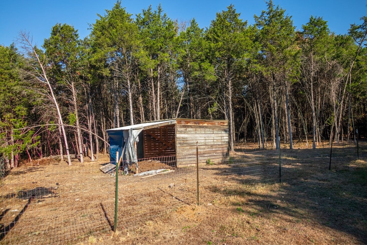 Several barns and run in sheds on site