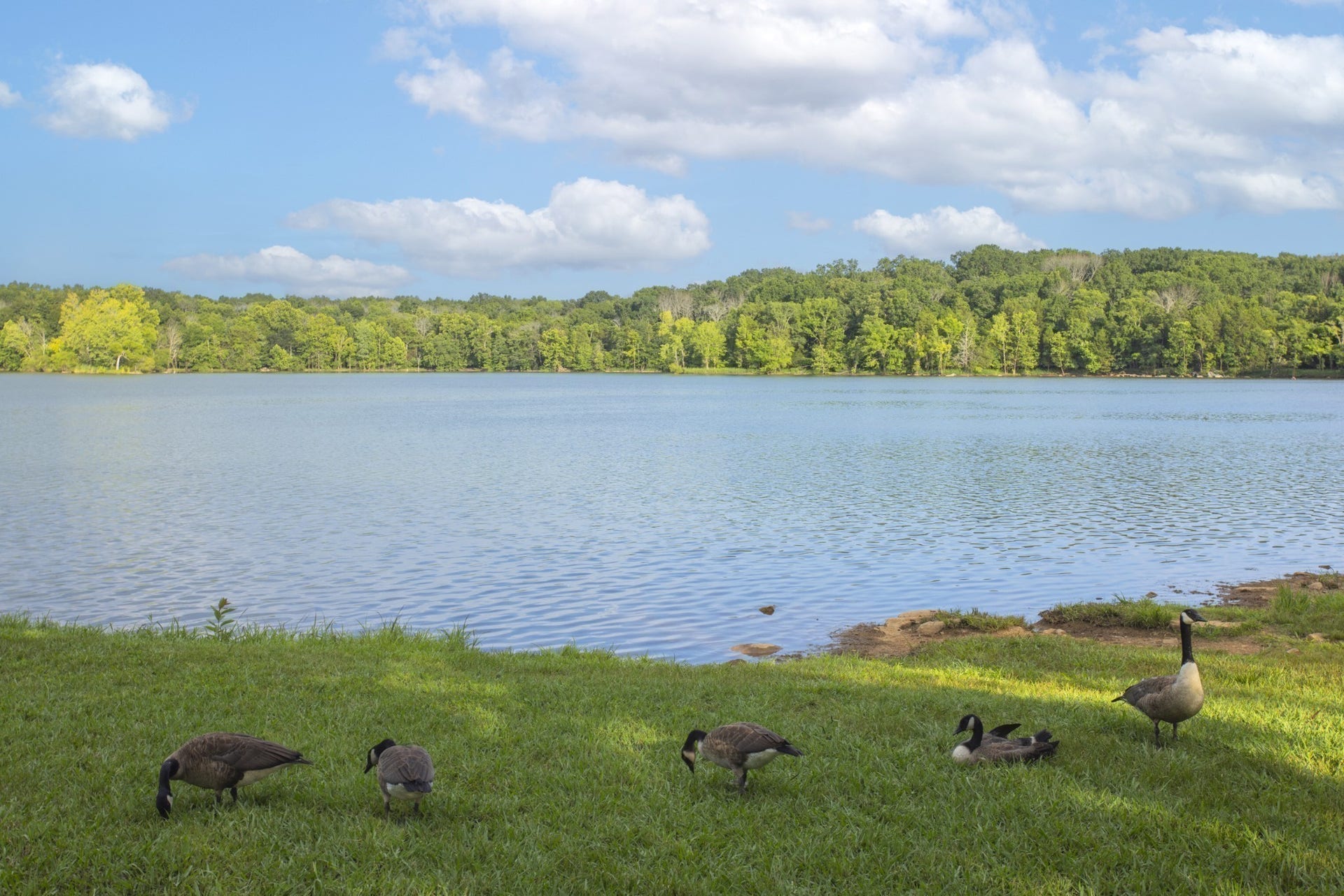 111 West Casa Way, Mount Juliet, TN 37122 Percy Priest Lake