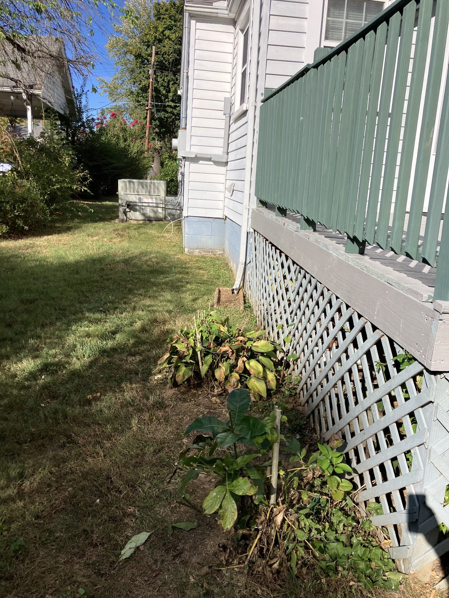 262 N Willomont Ave, Gallatin, TN 37066 262 N Willomont Ave, Gallatin, TN 37066