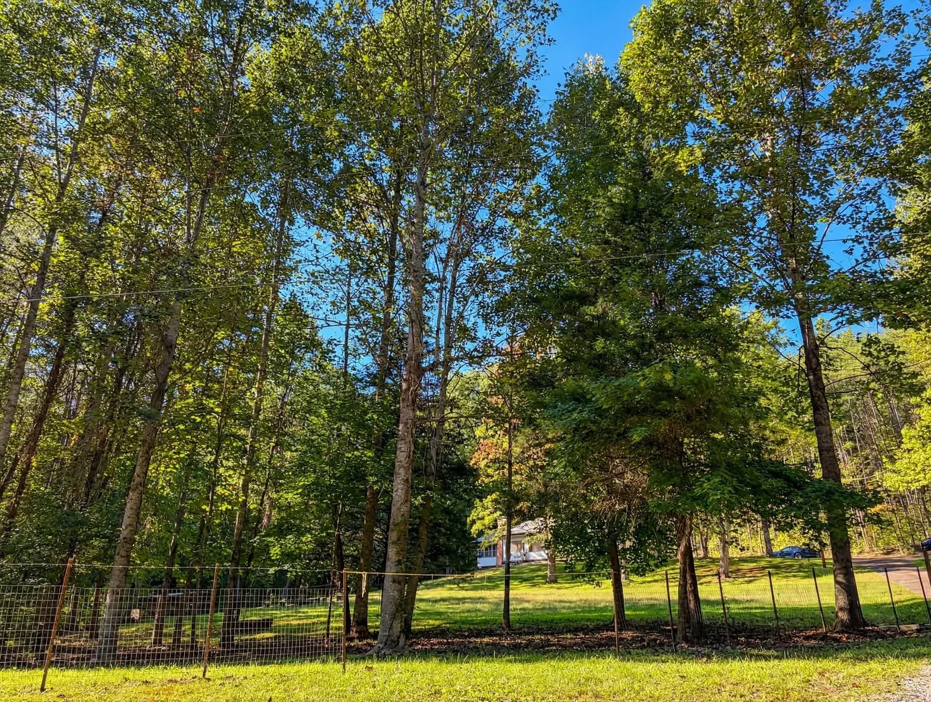 123 Cooper Rd, Vonore, TN 37885 123 Cooper Rd, Vonore, TN 37885