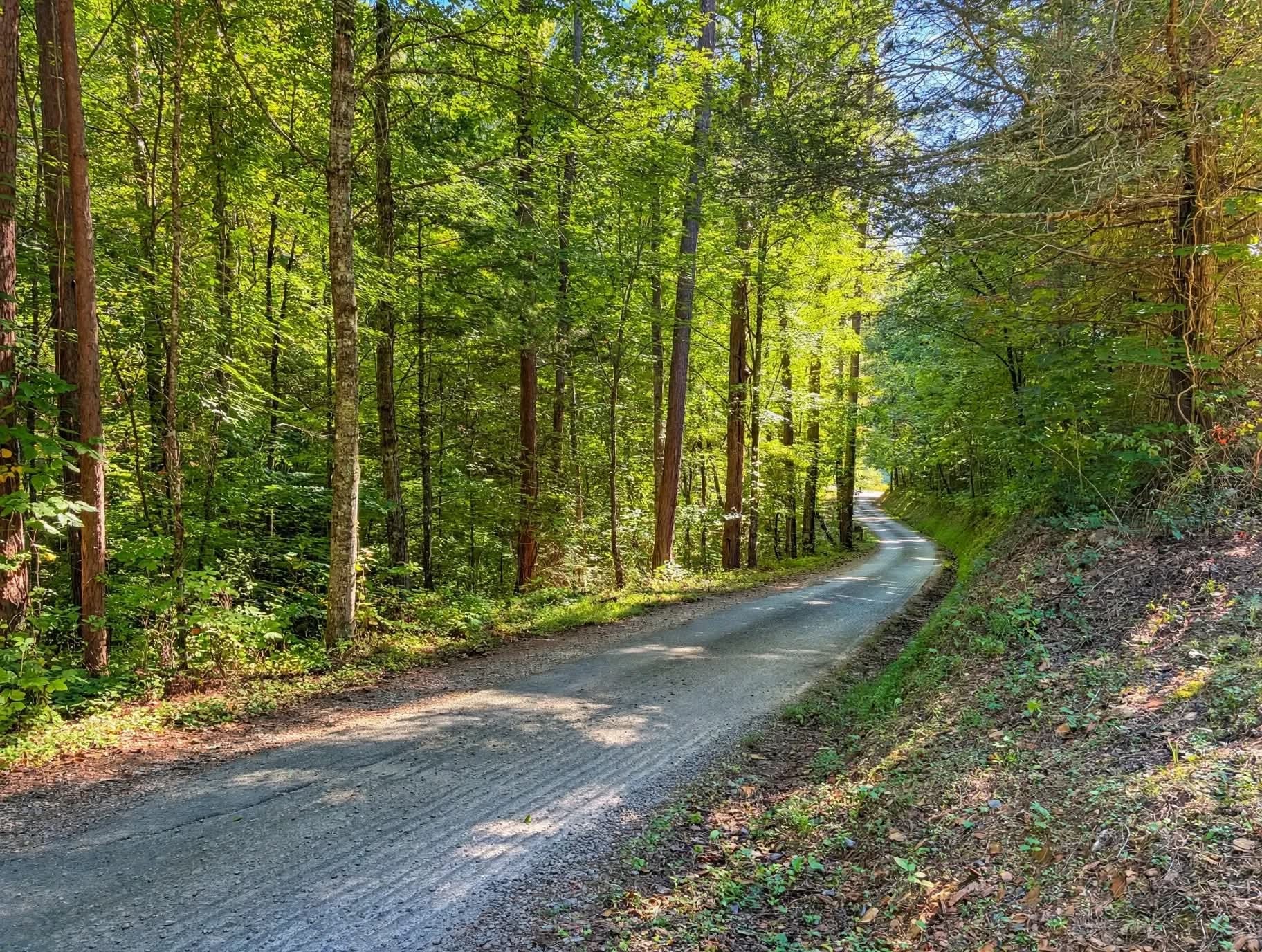 123 Cooper Rd, Vonore, TN 37885 123 Cooper Rd, Vonore, TN 37885