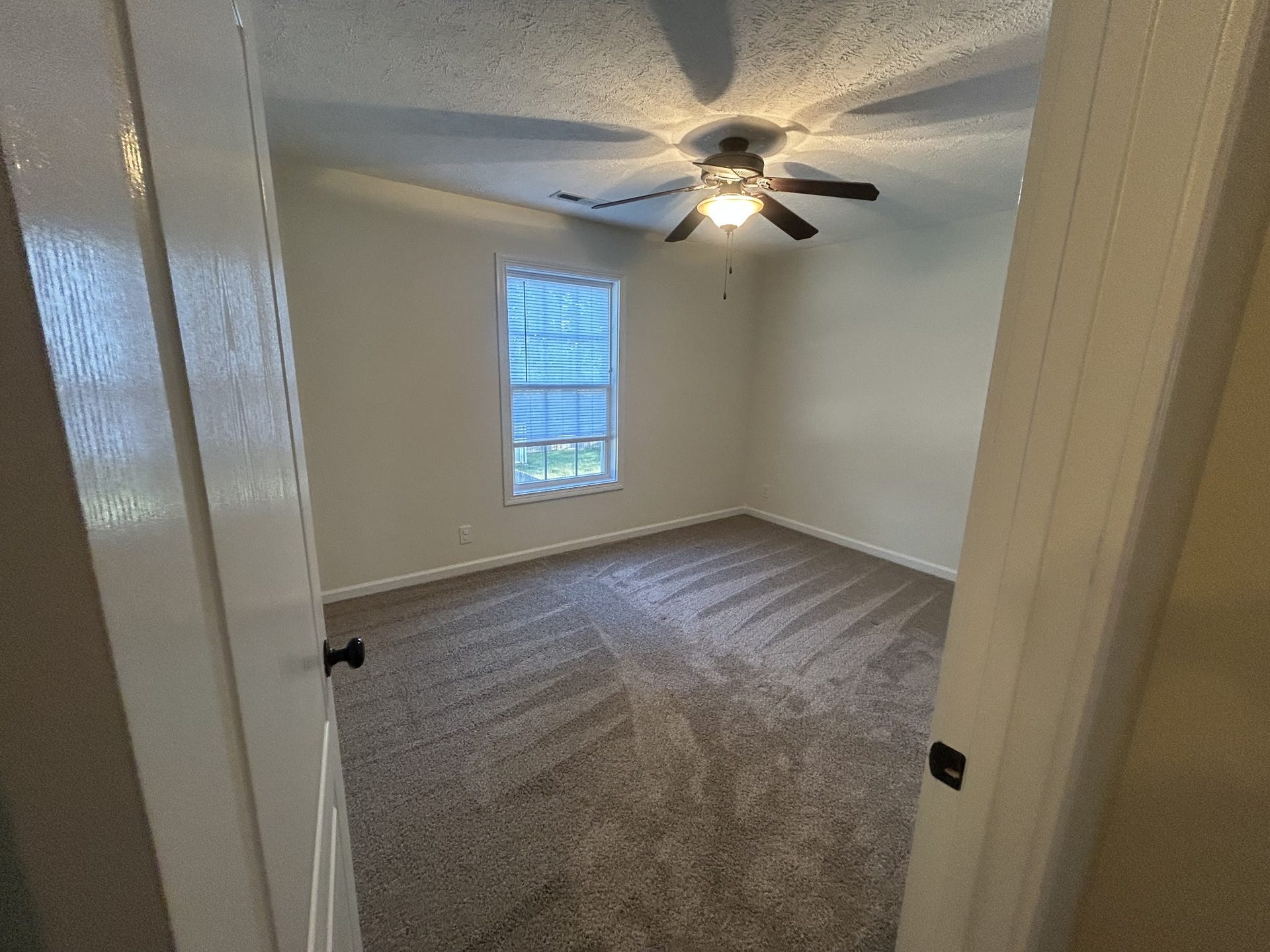 3611 Fox Tail Dr, Clarksville, TN 37040 3611 Fox Tail Dr, Clarksville, TN 37040