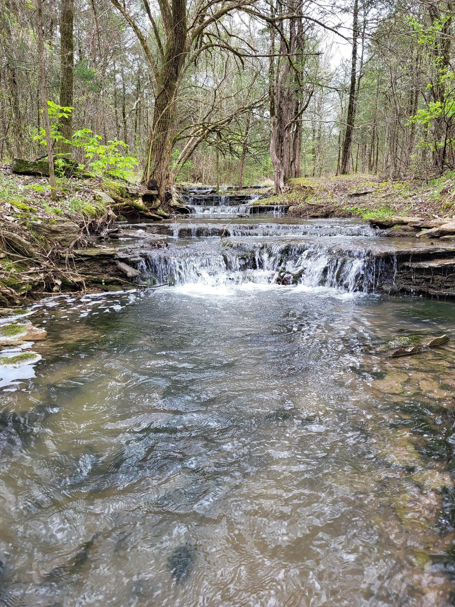 2325 Newman Rd, Rockvale, TN 37153
