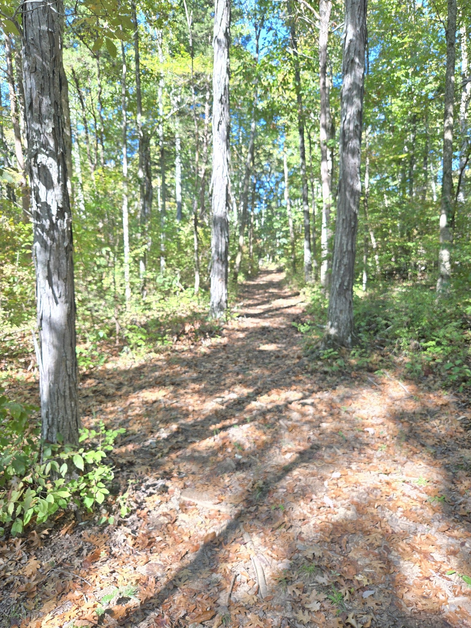 2 Newman Rd, Rockvale, TN 37153 2 Newman Rd, Rockvale, TN 37153