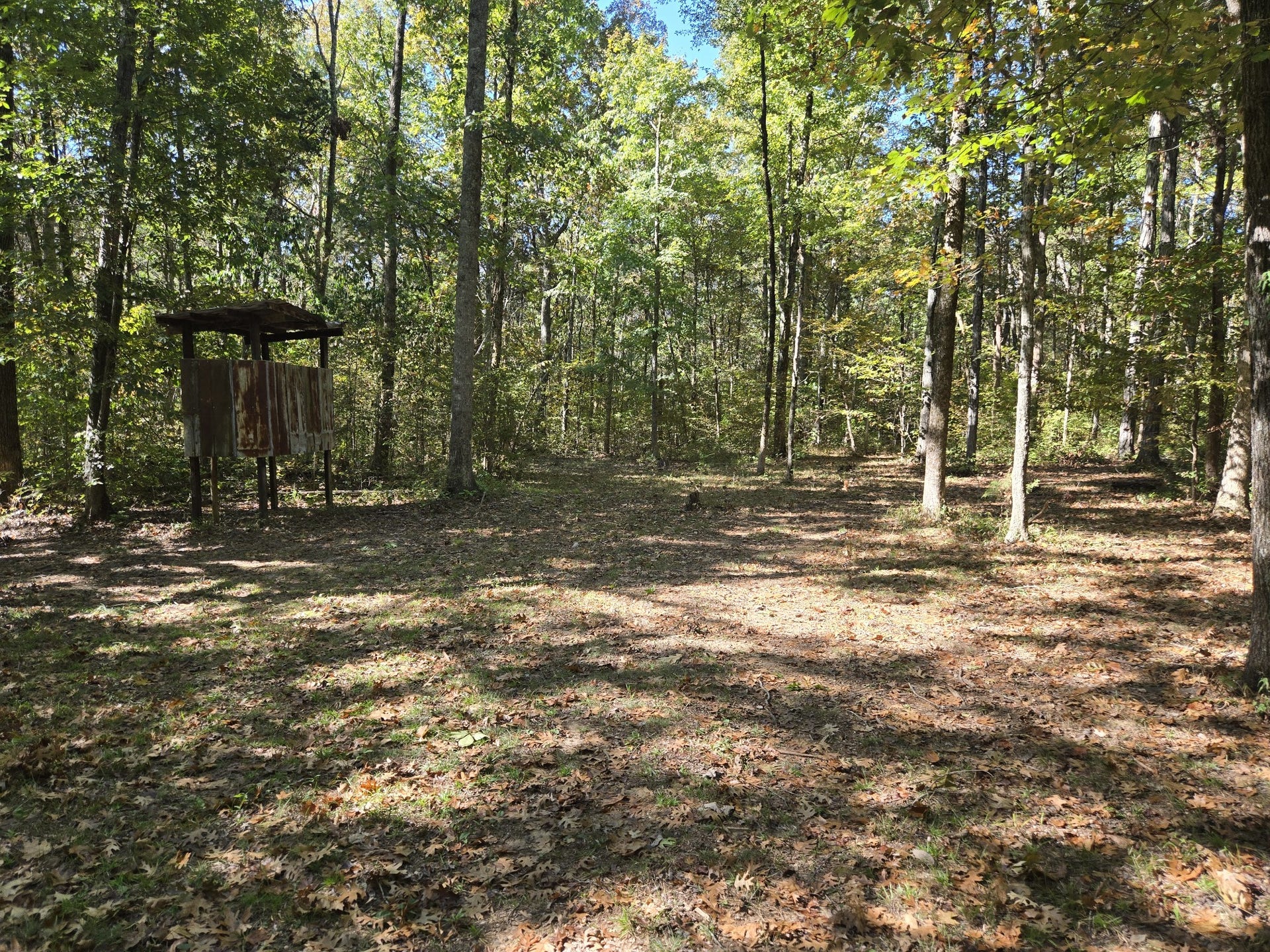 2 Newman Rd, Rockvale, TN 37153 2 Newman Rd, Rockvale, TN 37153