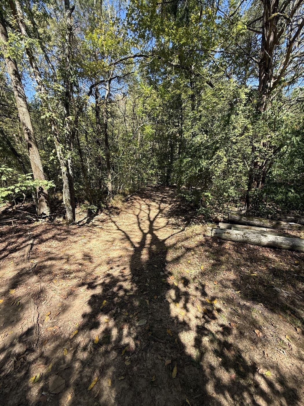 2 Newman Rd, Rockvale, TN 37153 2 Newman Rd, Rockvale, TN 37153