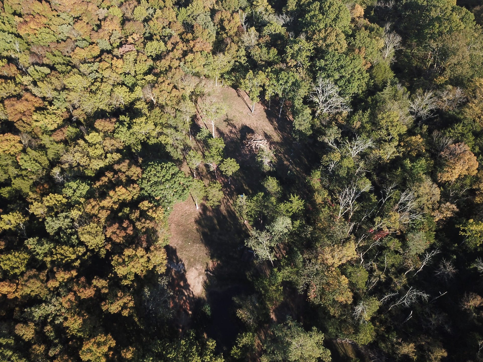 2 Newman Rd, Rockvale, TN 37153 2 Newman Rd, Rockvale, TN 37153