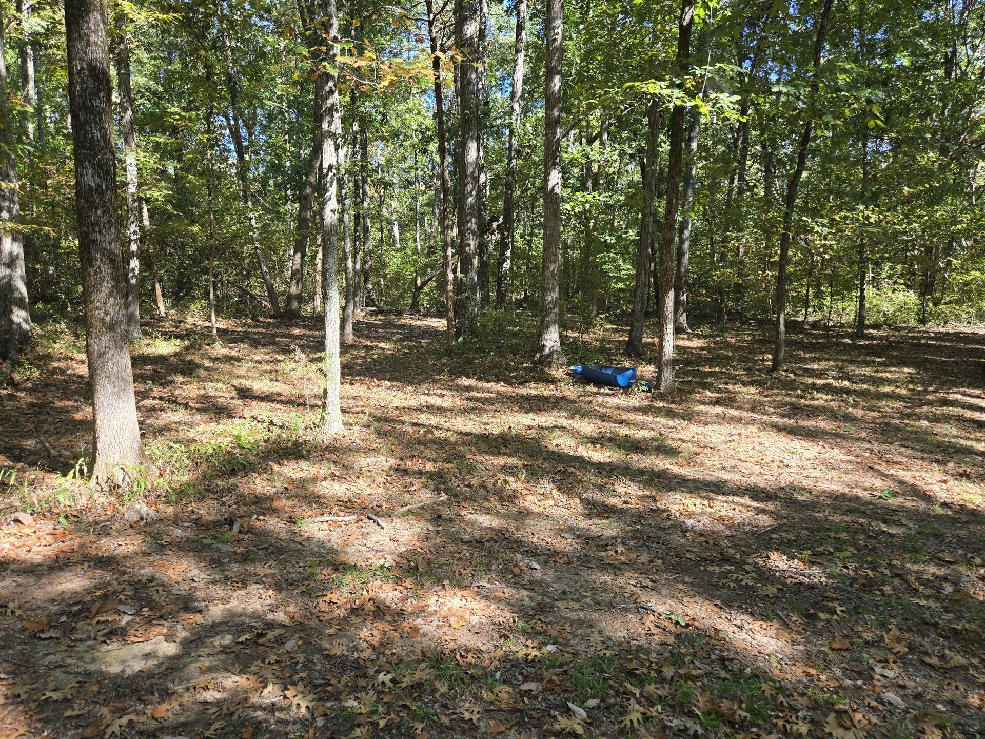 2 Newman Rd, Rockvale, TN 37153 2 Newman Rd, Rockvale, TN 37153