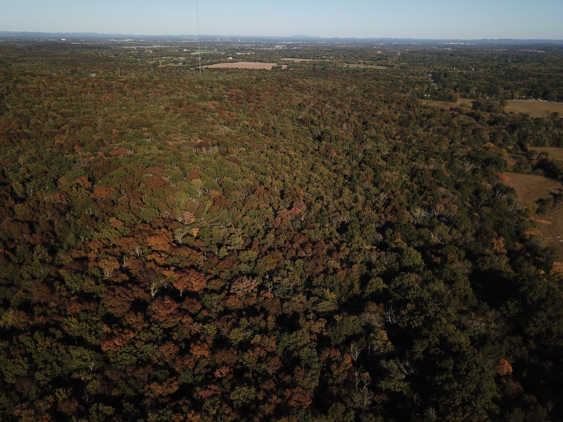 2 Newman Rd, Rockvale, TN 37153 2 Newman Rd, Rockvale, TN 37153