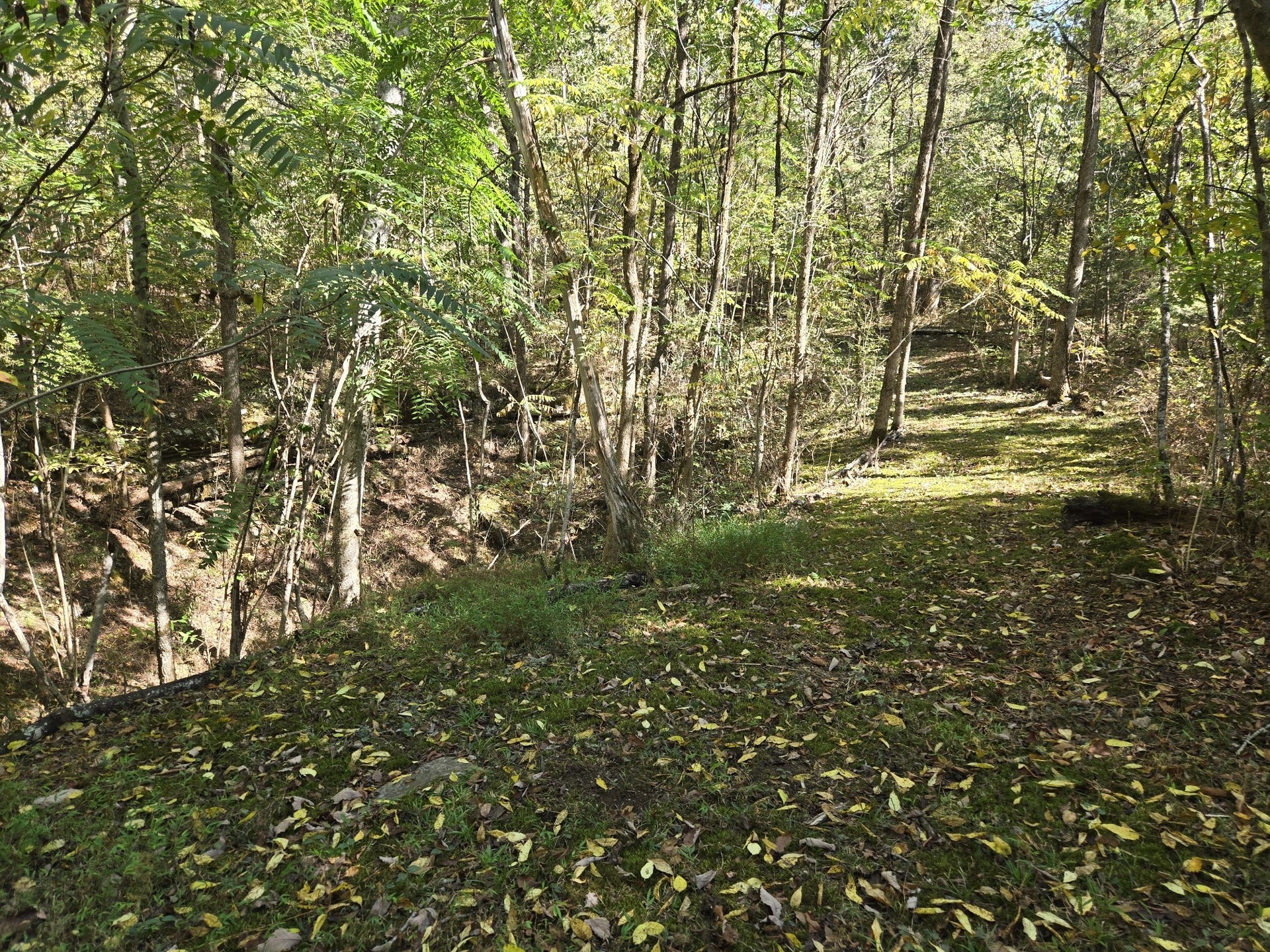 2 Newman Rd, Rockvale, TN 37153 2 Newman Rd, Rockvale, TN 37153