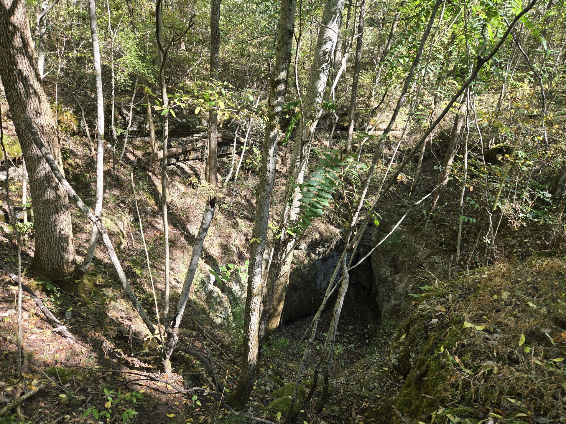 2 Newman Rd, Rockvale, TN 37153 2 Newman Rd, Rockvale, TN 37153