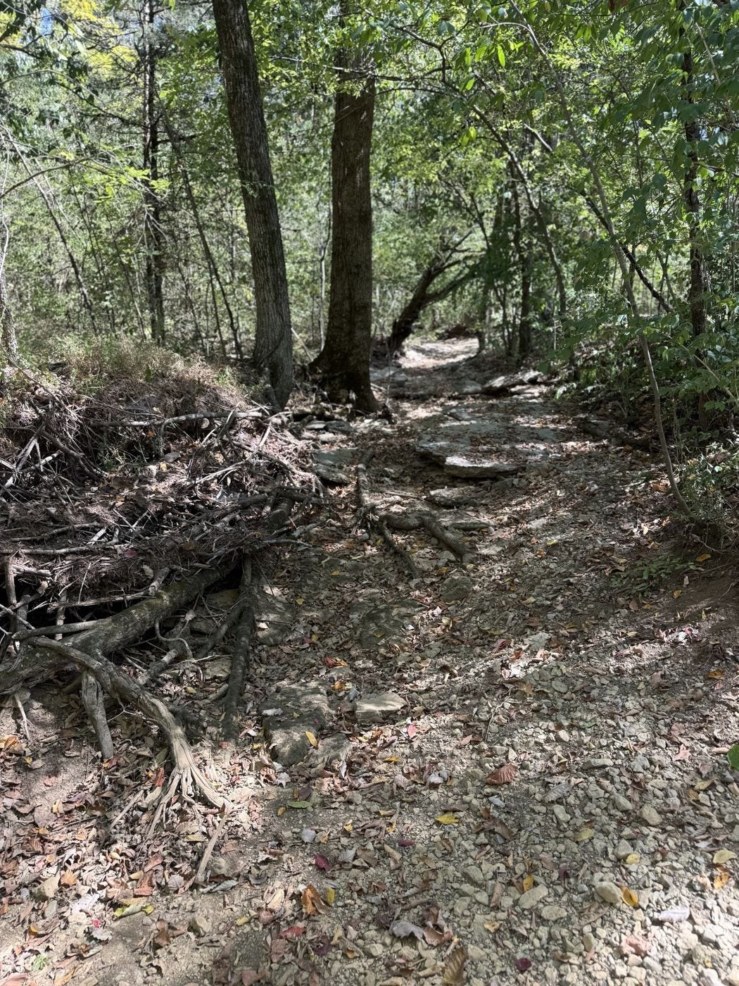 2 Newman Rd, Rockvale, TN 37153 2 Newman Rd, Rockvale, TN 37153