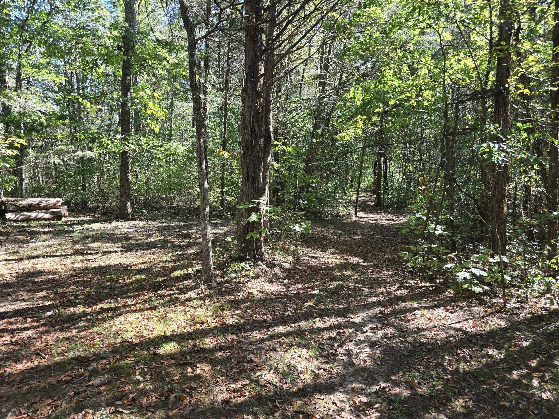 2 Newman Rd, Rockvale, TN 37153 2 Newman Rd, Rockvale, TN 37153