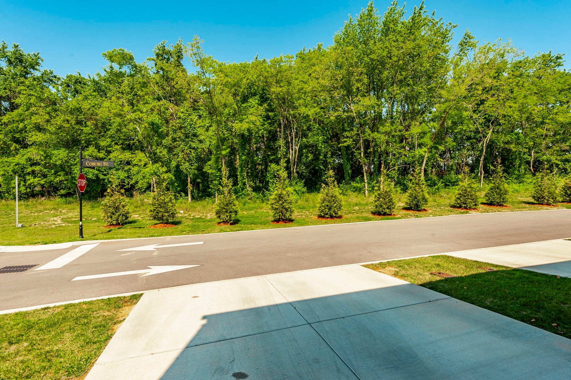 781 Coburg St, Gallatin, TN 37066 781 Coburg St, Gallatin, TN 37066