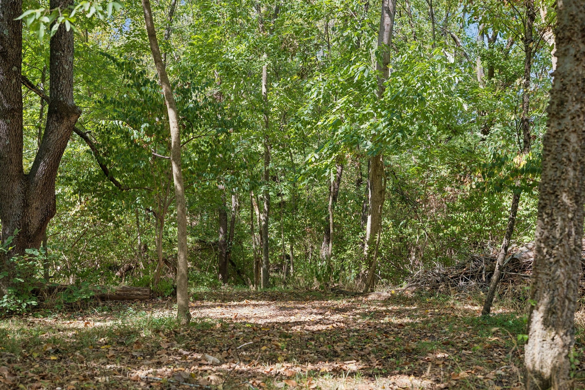 504 N Pawnee Dr, Springfield, TN 37172 504 N Pawnee Dr, Springfield, TN 37172
