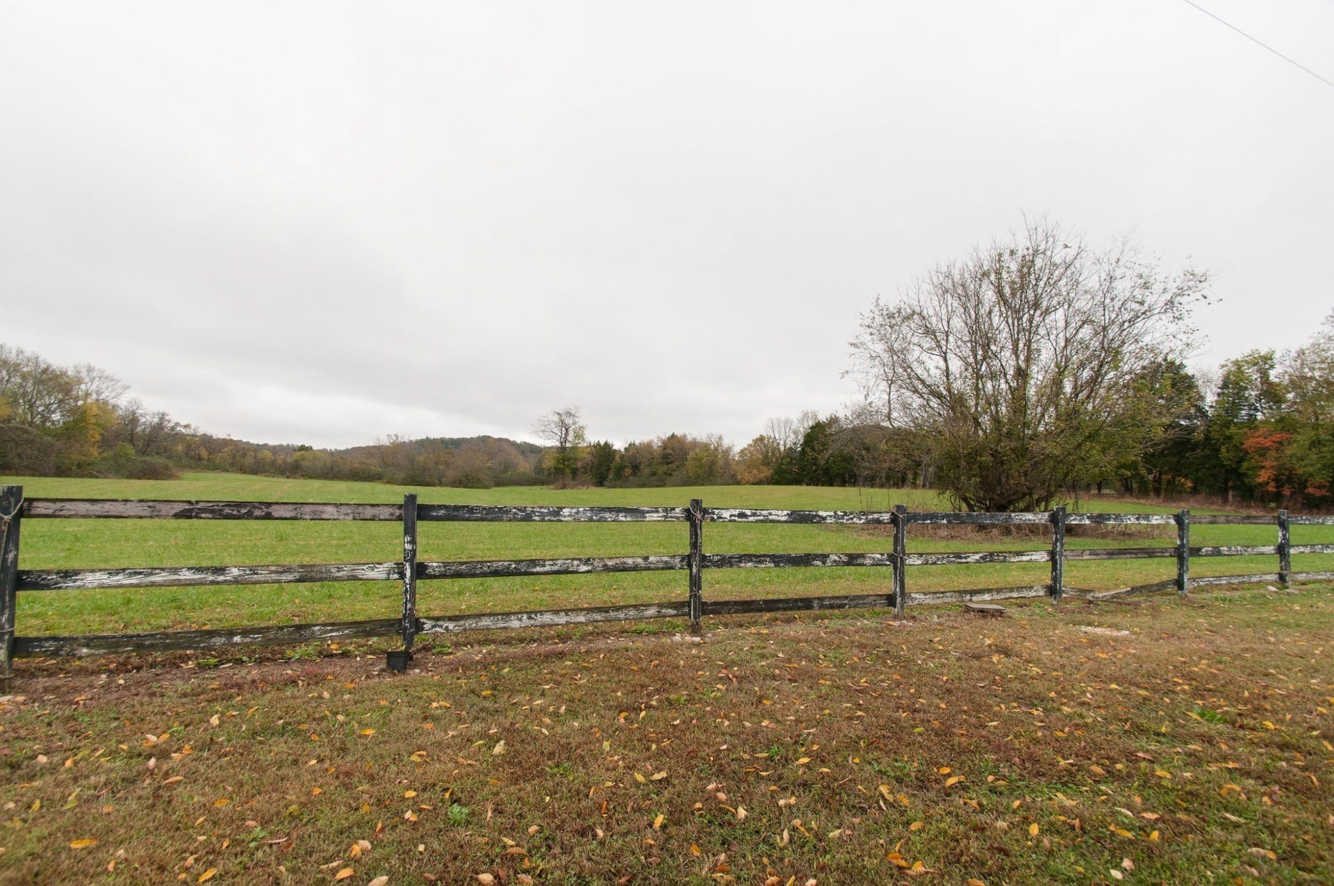 0 Cedar Hill Rd, Kingston Springs, TN 37082 View from your private entrance faces only beautiful rolling hay field