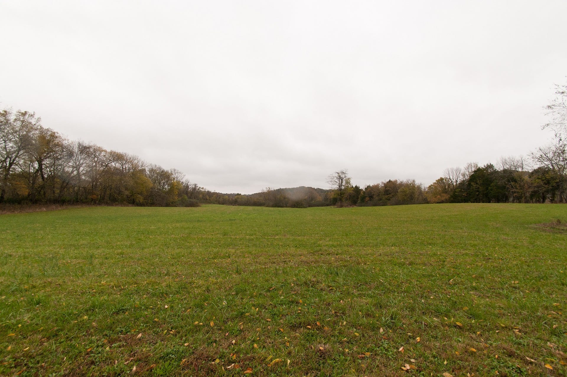 0 Cedar Hill Rd, Kingston Springs, TN 37082 Walk to quarter mile to Hwy 70 Harpeth River Bridge put in your KAYAK Travel the 2hr loop of the Harpeth River then take out at Gossett Park and walk 2 blocks to your apartment OR continue to the Narrows of the Harpeth with a planned ride back