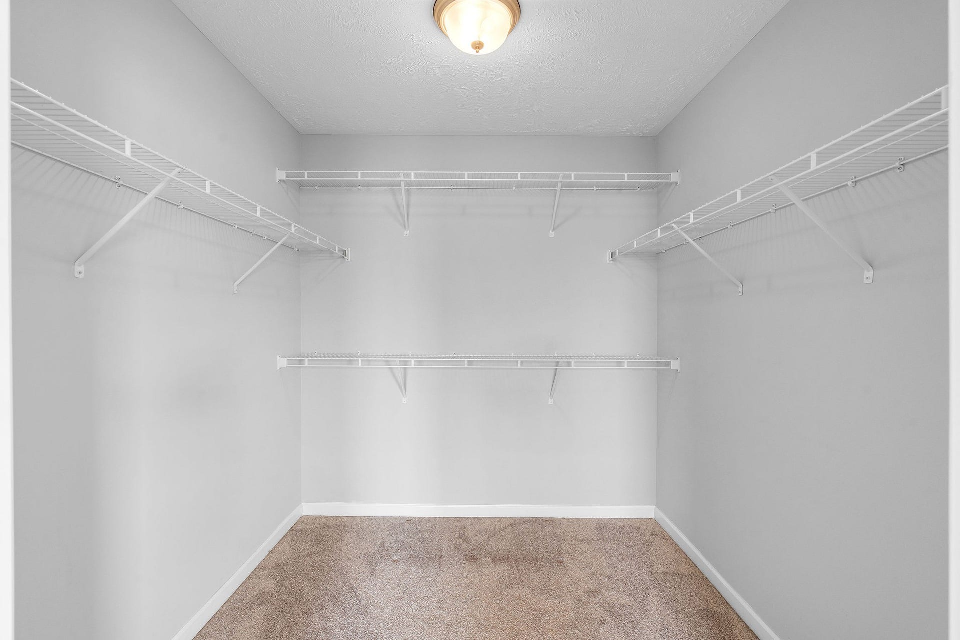 3442 Risen Star Dr, Murfreesboro, TN 37128 3442 Risen Star Dr, Murfreesboro, TN 37128
