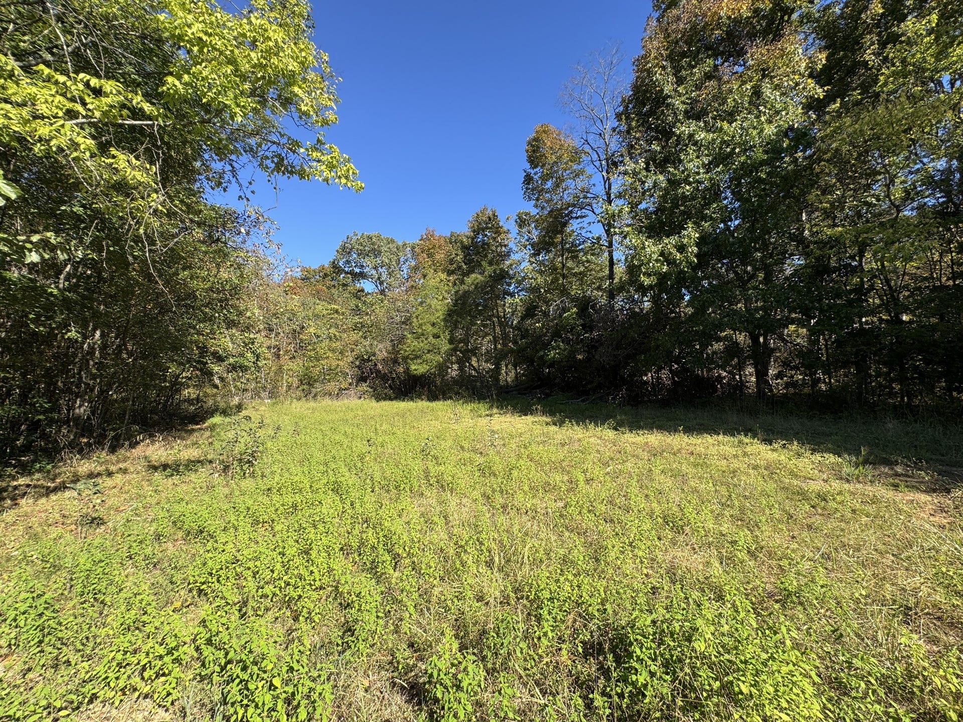 2 Lindsley Rd, Lebanon, TN 37090 2 Lindsley Rd, Lebanon, TN 37090