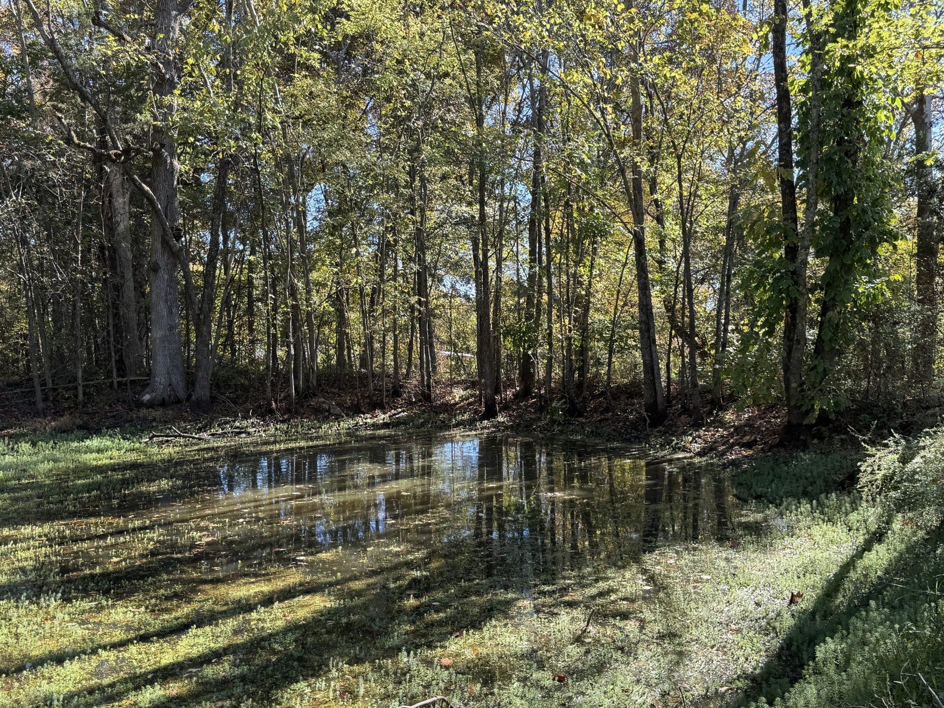 2 Lindsley Rd, Lebanon, TN 37090 2 Lindsley Rd, Lebanon, TN 37090