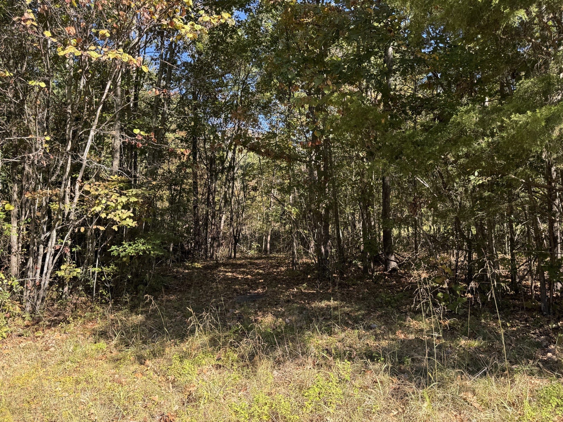 2 Lindsley Rd, Lebanon, TN 37090 2 Lindsley Rd, Lebanon, TN 37090