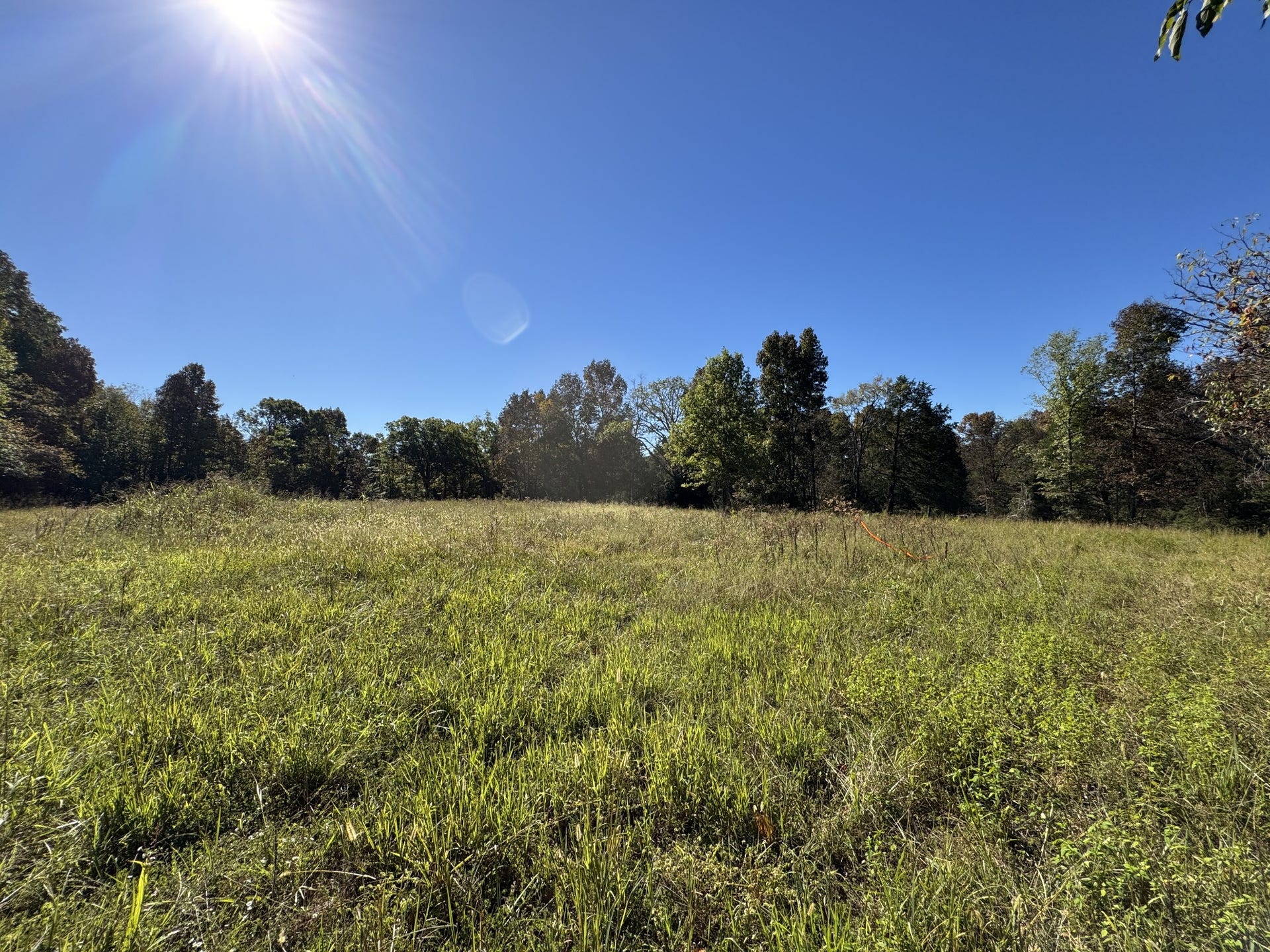2 Lindsley Rd, Lebanon, TN 37090 2 Lindsley Rd, Lebanon, TN 37090