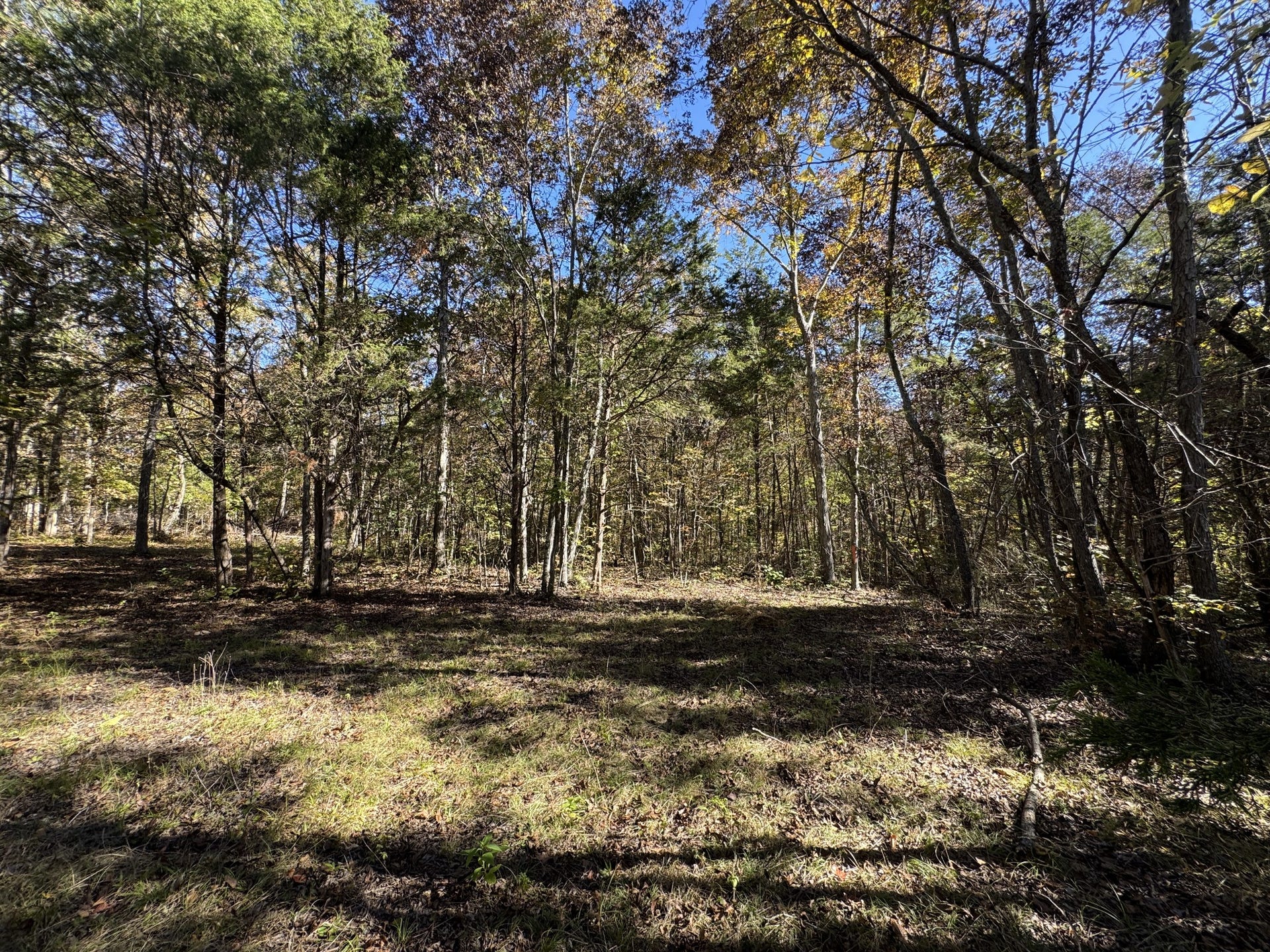 2 Lindsley Rd, Lebanon, TN 37090 2 Lindsley Rd, Lebanon, TN 37090