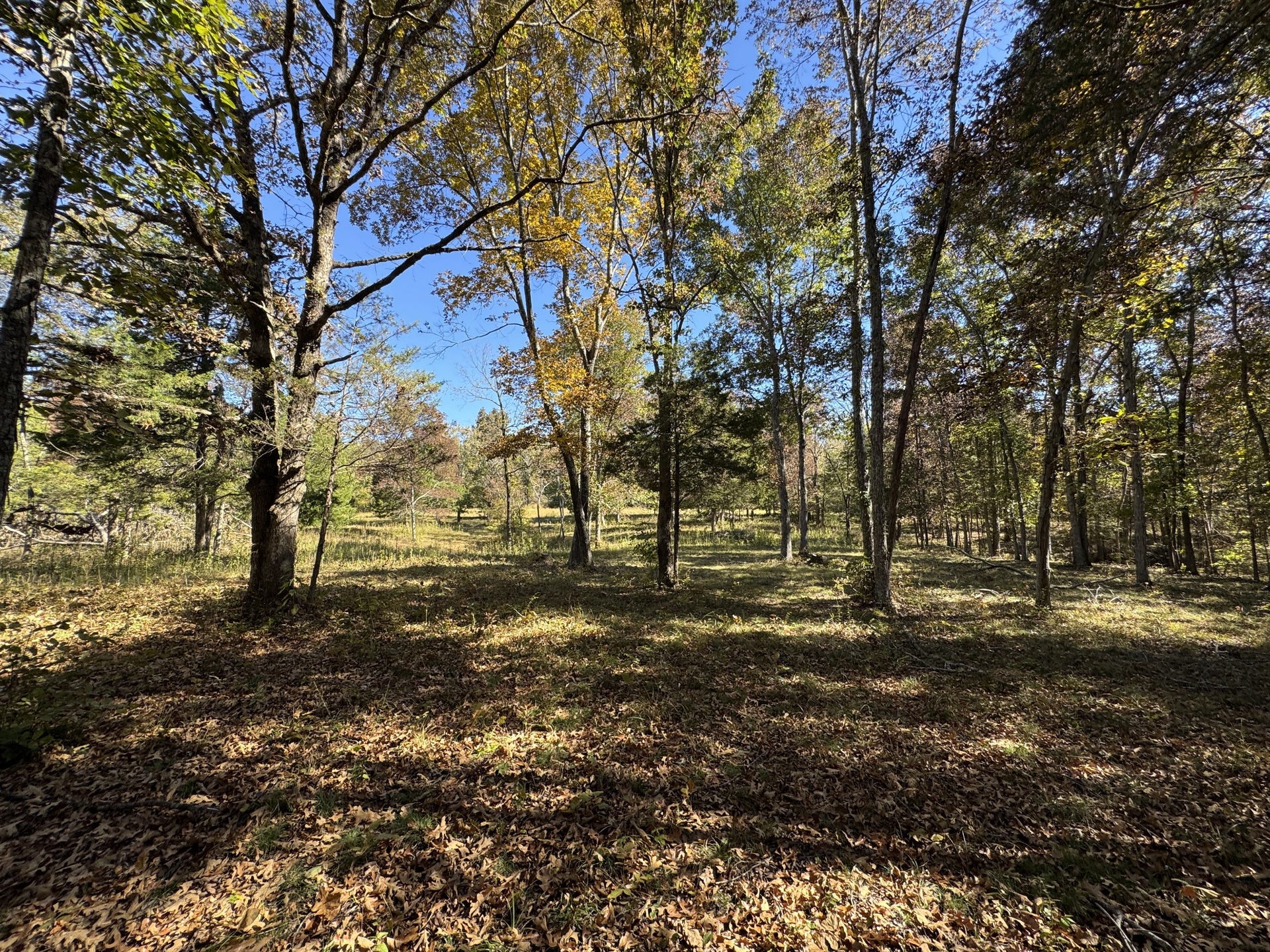 2 Lindsley Rd, Lebanon, TN 37090 2 Lindsley Rd, Lebanon, TN 37090