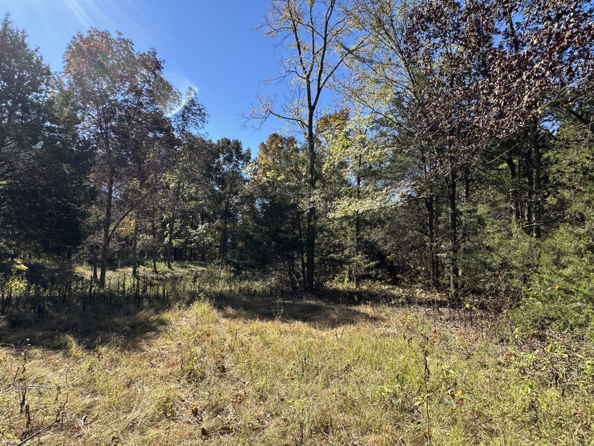 2 Lindsley Rd, Lebanon, TN 37090 2 Lindsley Rd, Lebanon, TN 37090