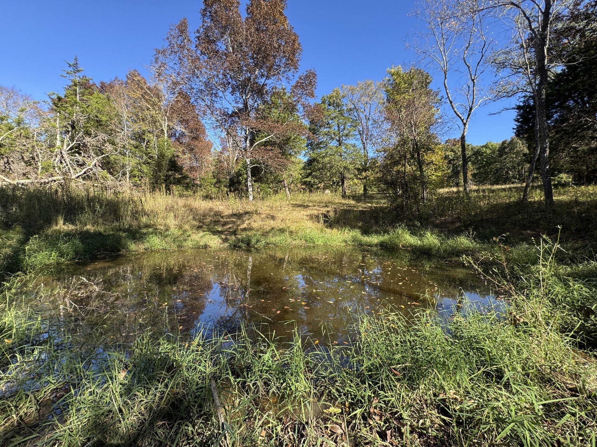 2 Lindsley Rd, Lebanon, TN 37090 2 Lindsley Rd, Lebanon, TN 37090