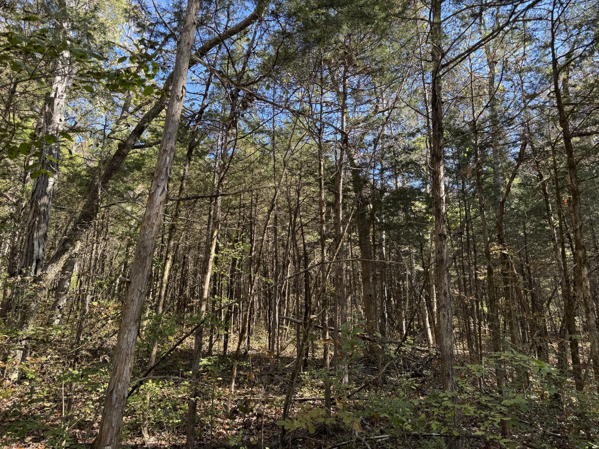 2 Lindsley Rd, Lebanon, TN 37090 2 Lindsley Rd, Lebanon, TN 37090