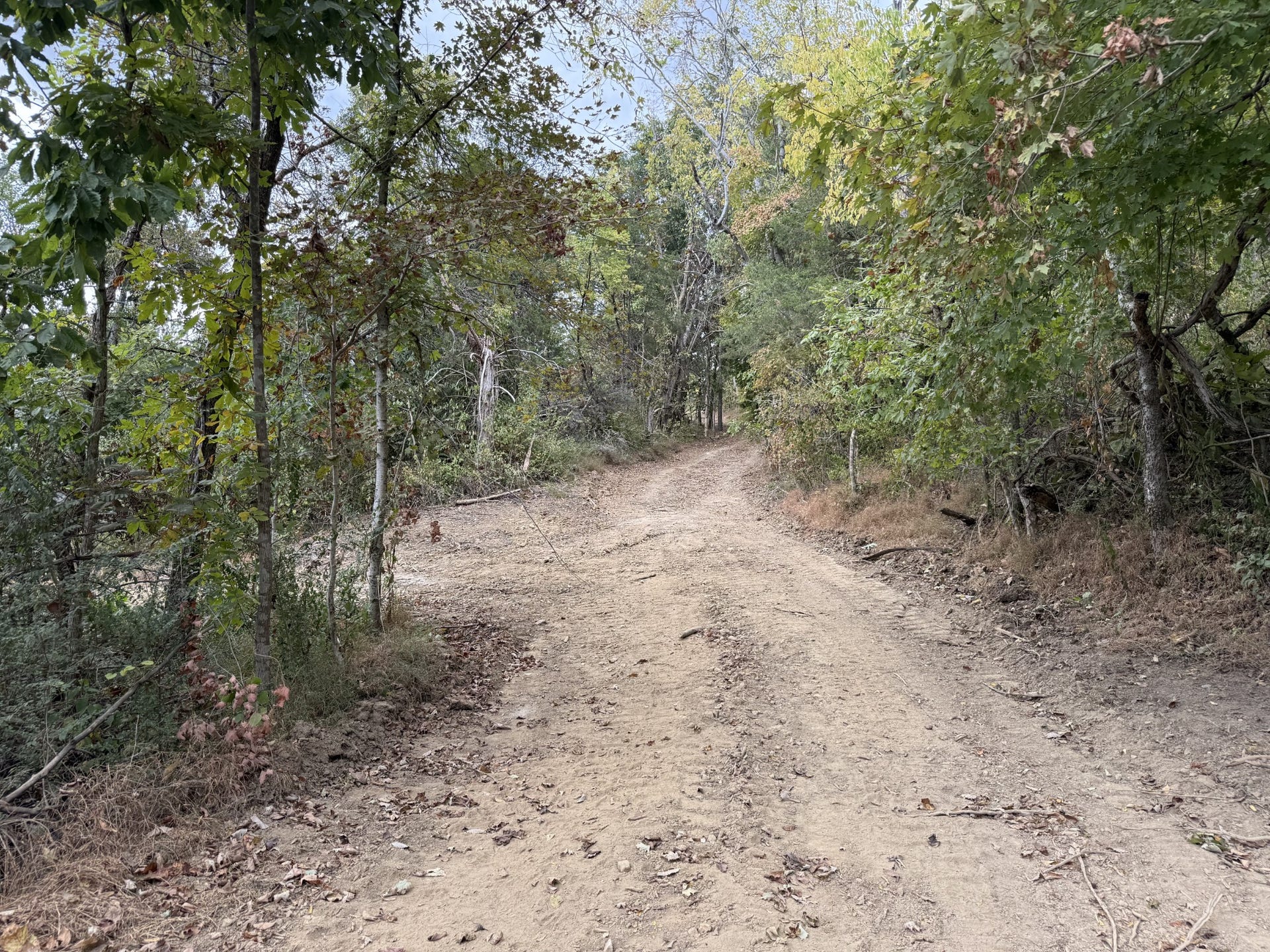 0 Old highway 99, Columbia, TN 38401 0 Old highway 99, Columbia, TN 38401