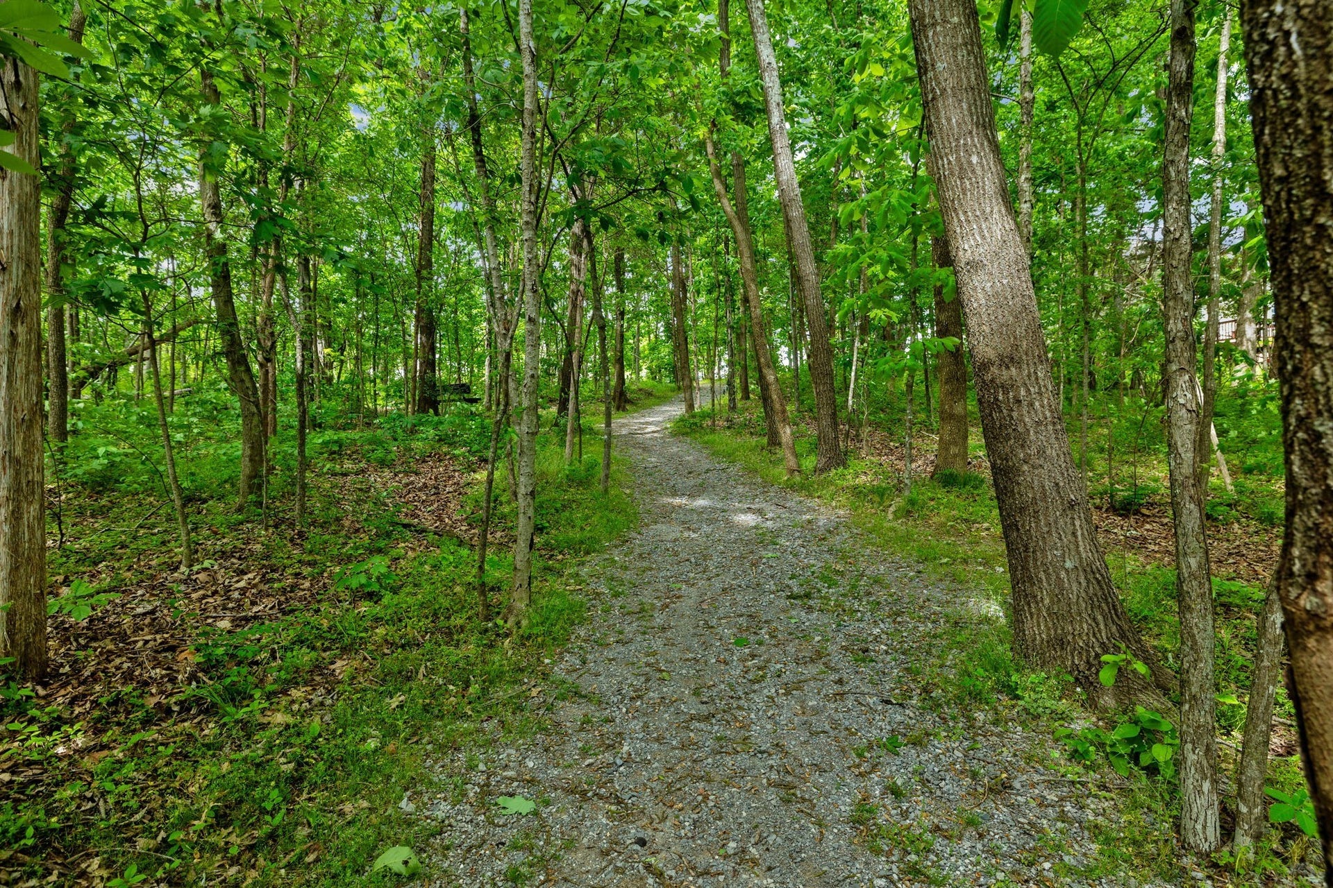 3002 Kingston Cir N, Mount Juliet, TN 37122 3002 Kingston Cir N, Mount Juliet, TN 37122