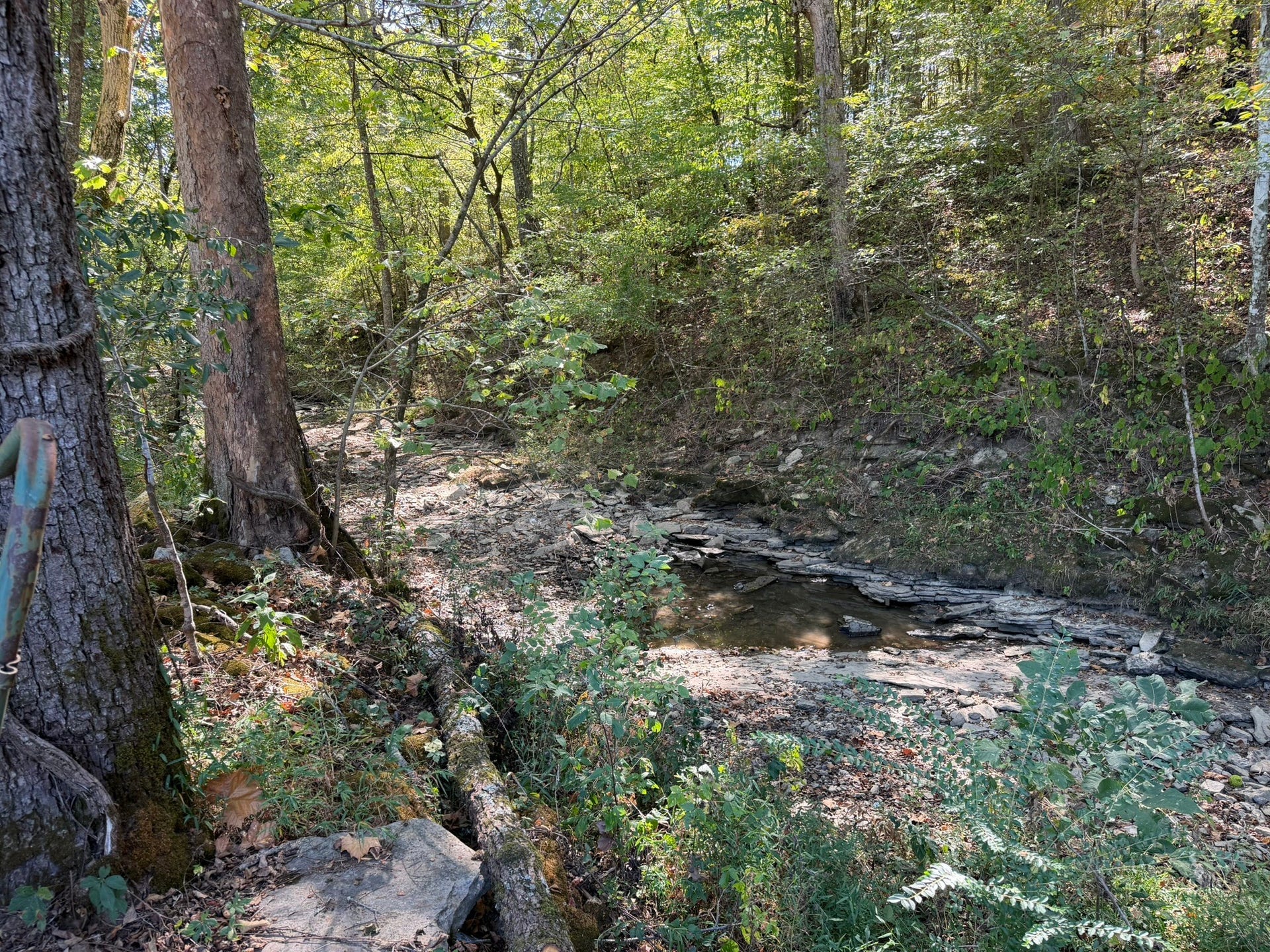 178 Dream Ln, Auburntown, TN 37016 178 Dream Ln, Auburntown, TN 37016