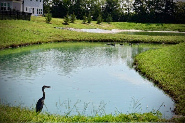 4943 Kai Drive, Murfreesboro, TN 37129 BEAUTIFUL COMMUNITY TRAILS FOR MORNING WALKS AND EVENING STROLLS