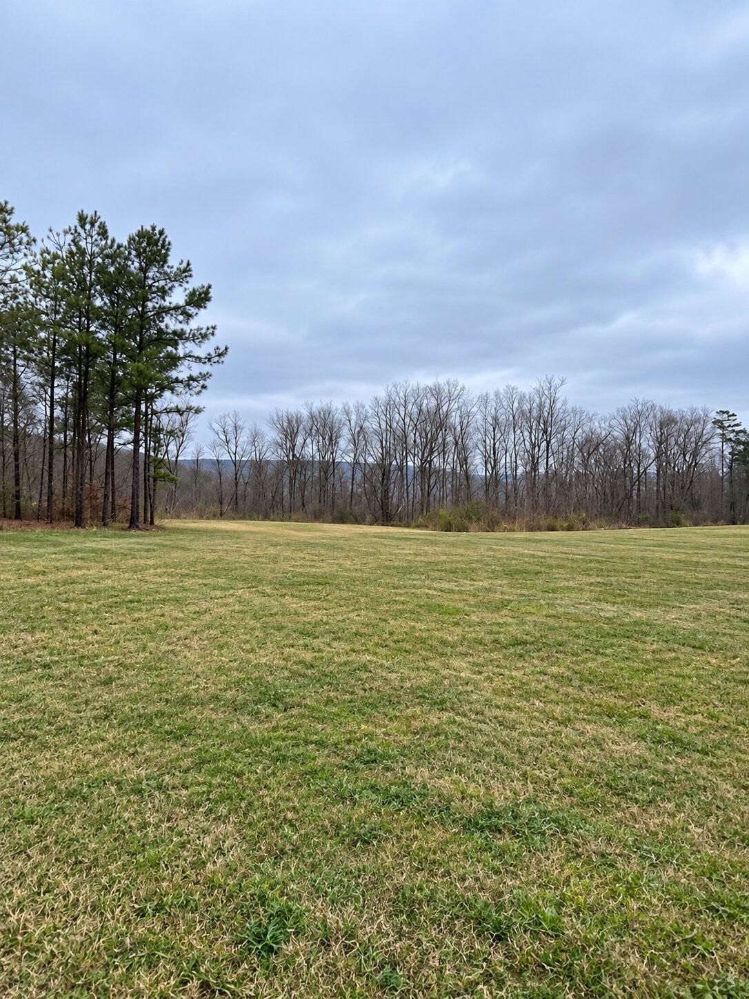 59 Red Bud Trl, Dunlap, TN 37327 59 Red Bud Trl, Dunlap, TN 37327