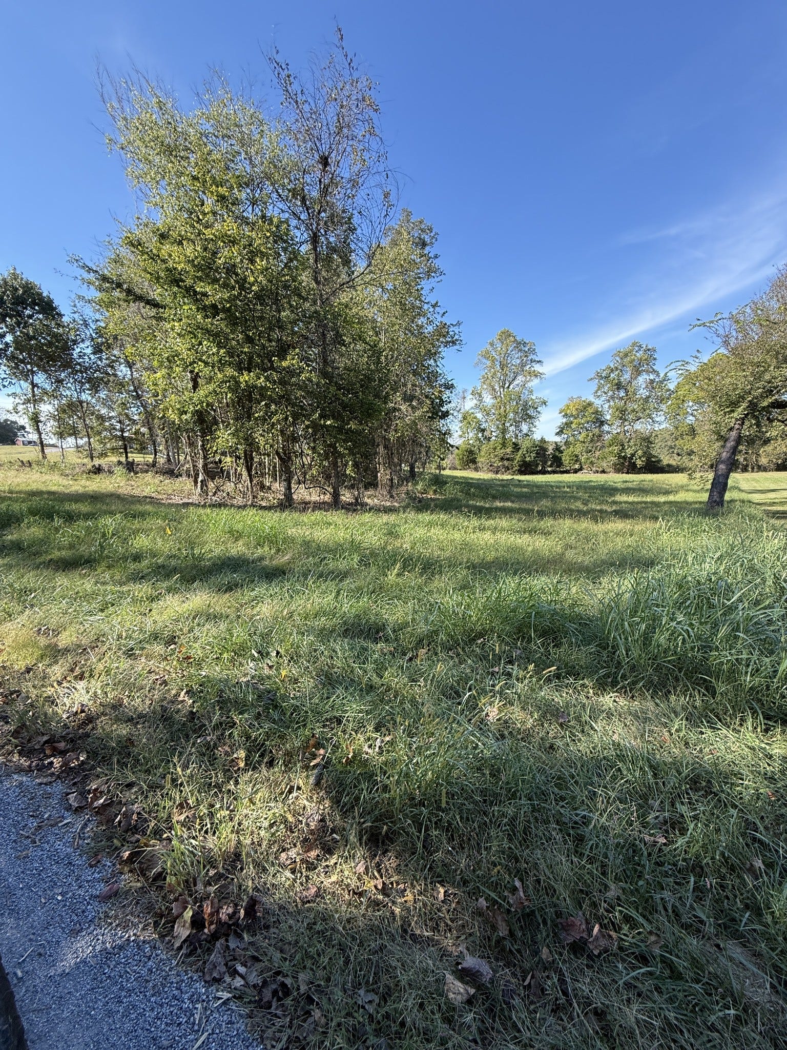 0 Bessie Clark Rd, Erin, TN 37061 Gorgeous private lot with some mature trees.