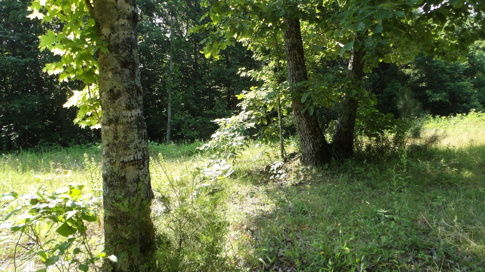 580 Pleasant Cemetery Lane, Gainesboro, TN 38562 580 Pleasant Cemetery Lane, Gainesboro, TN 38562