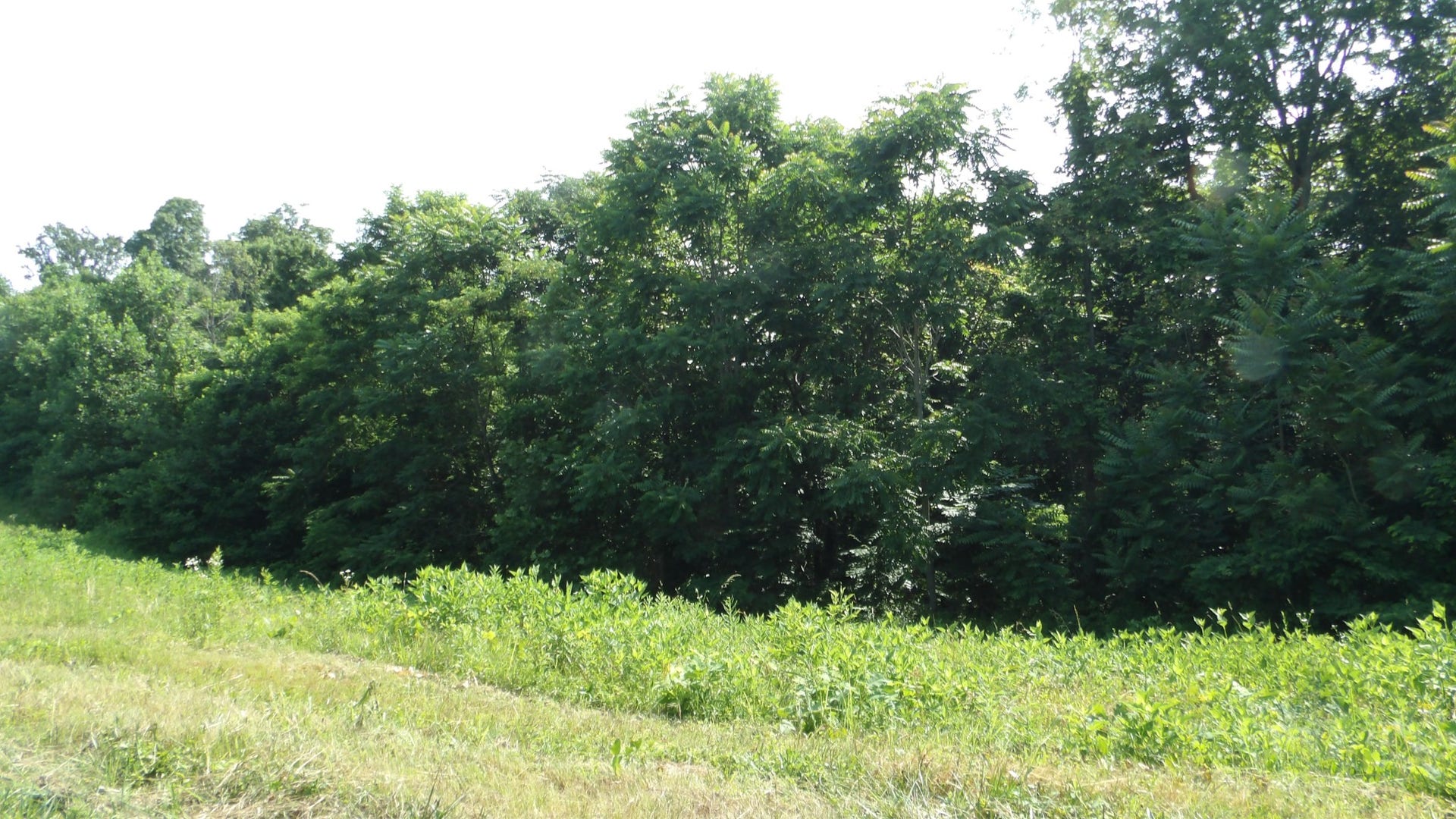 580 Pleasant Cemetery Lane, Gainesboro, TN 38562 580 Pleasant Cemetery Lane, Gainesboro, TN 38562