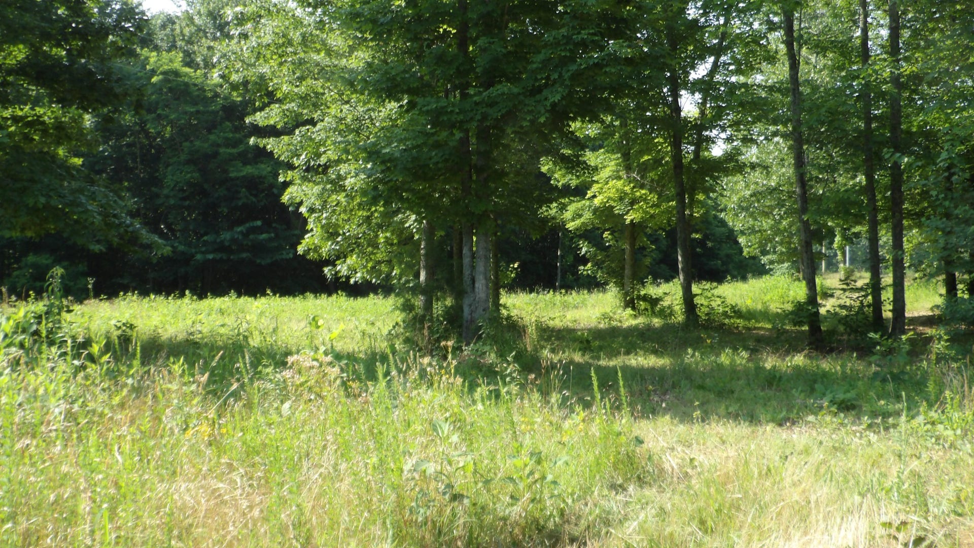 580 Pleasant Cemetery Lane, Gainesboro, TN 38562 580 Pleasant Cemetery Lane, Gainesboro, TN 38562
