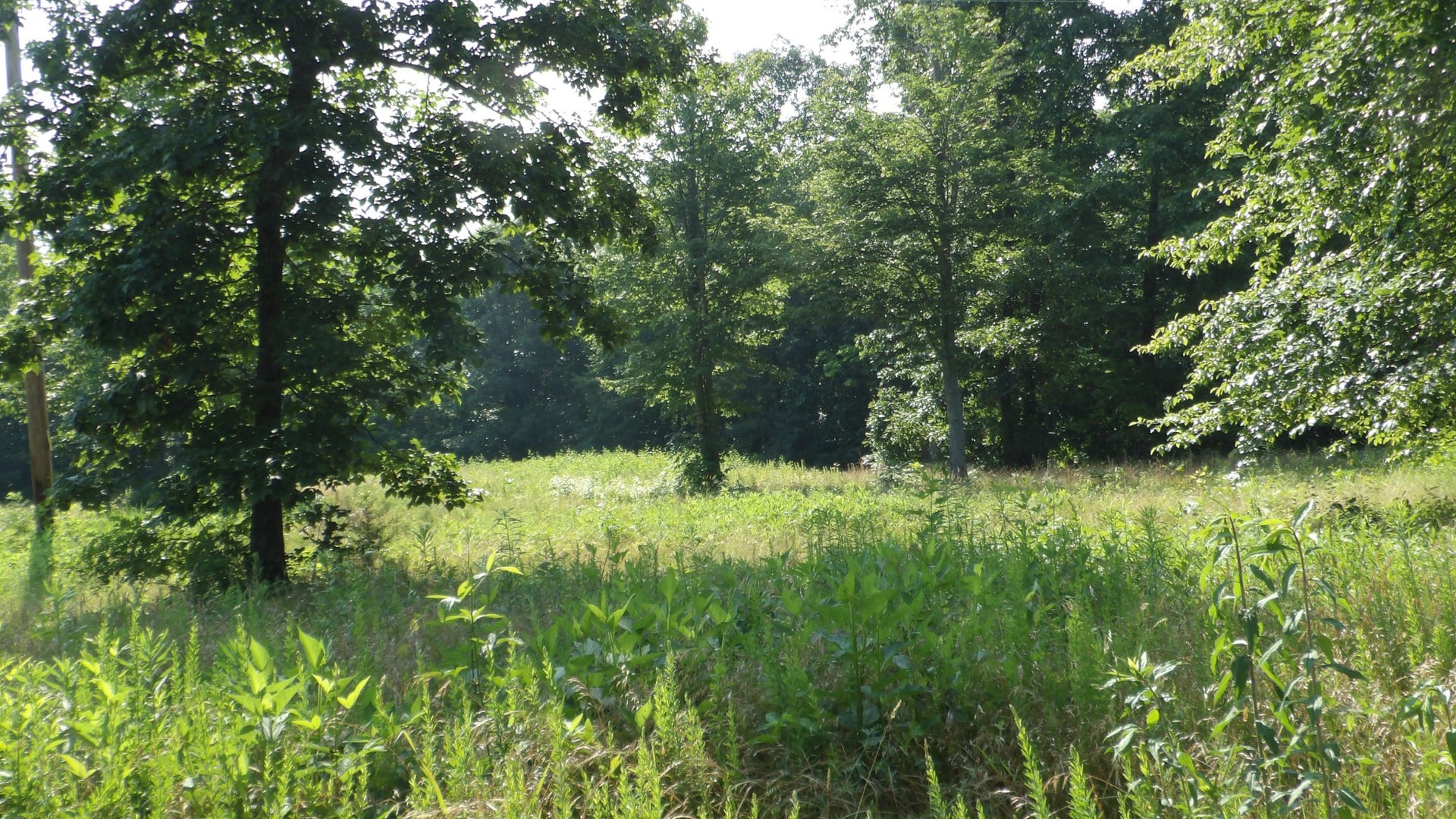 580 Pleasant Cemetery Lane, Gainesboro, TN 38562 580 Pleasant Cemetery Lane, Gainesboro, TN 38562